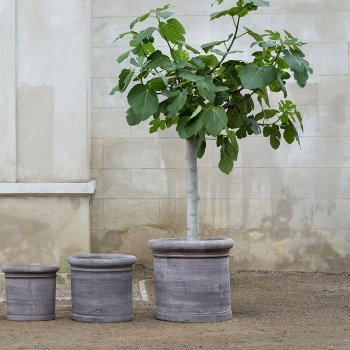 På Altan / Terrasse